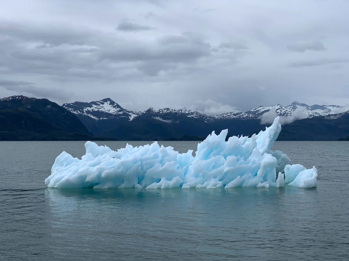 Cambio climático ante el juez: el “caso del siglo” Vitalis Blog
