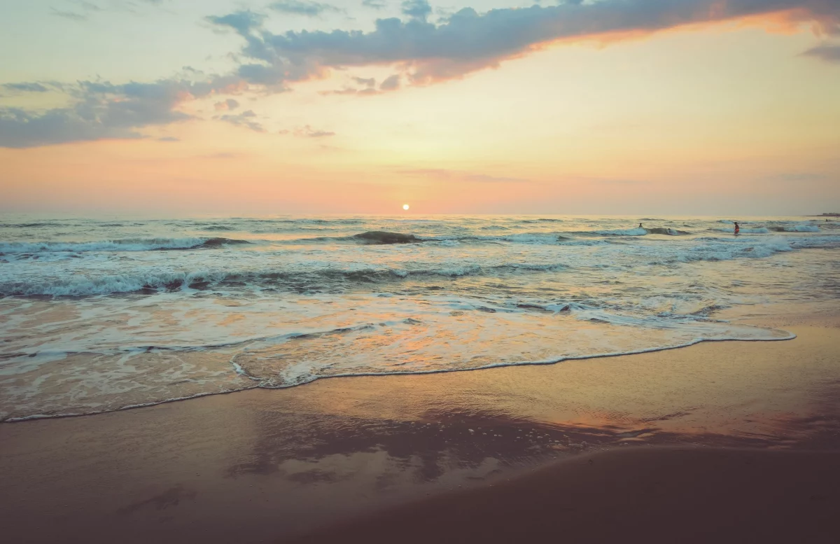 Día Mundial de las Playas Vitalis