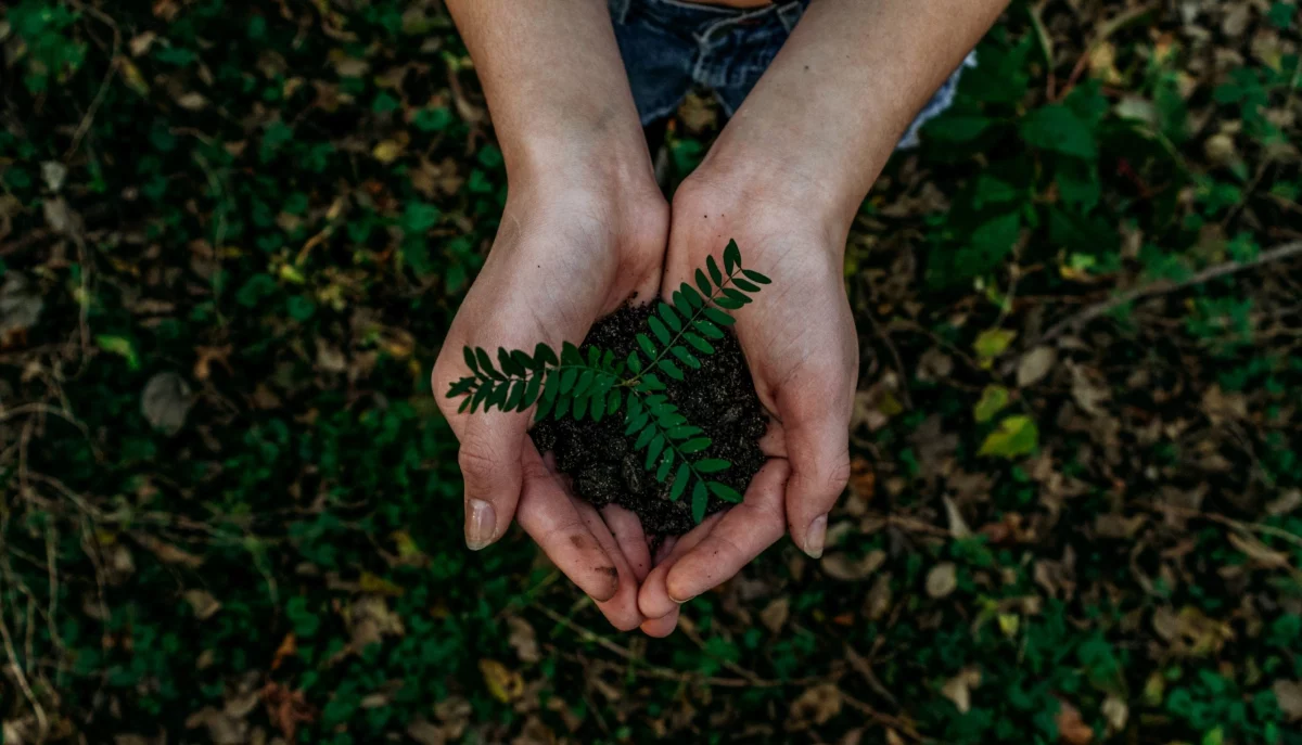 Blog Vitalis Impacto ambiental